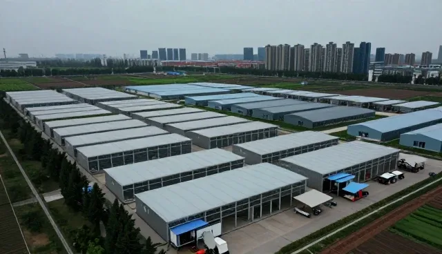 技术推广中的应用实践与未来趋势分析